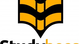 logo-studybees-gruender-gruenden-startup