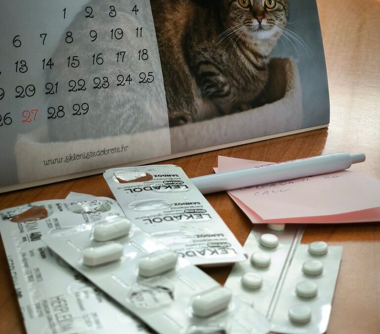 03 - Just in time medication tracker and reminder for elderly or their guardians