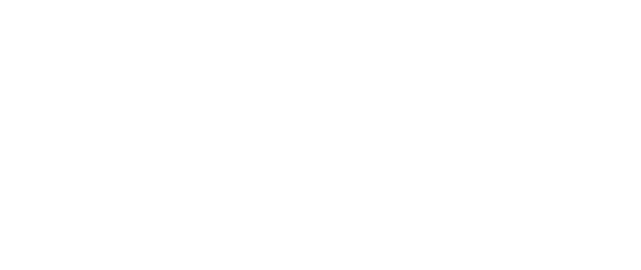 MEXI Logo